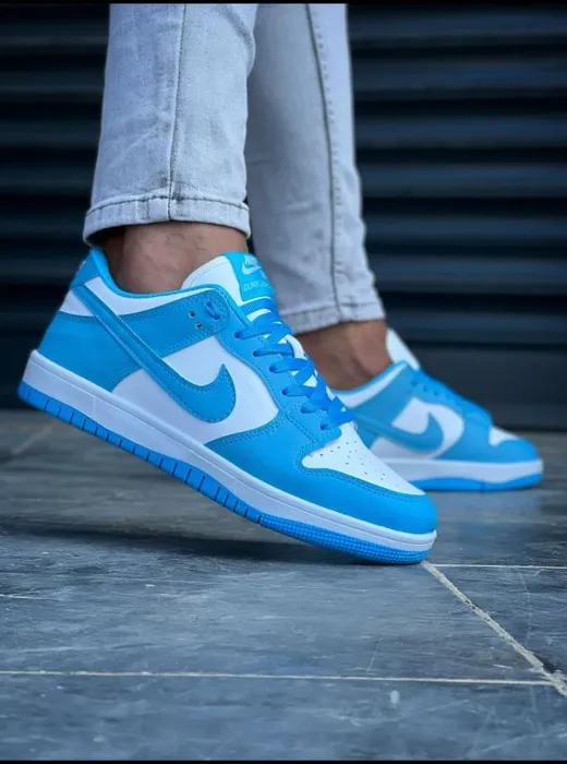 jordan dunk low blue