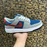 Nike Dunk F1