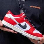 Nike SB Dunk Low Split Chicago (Master Quality)